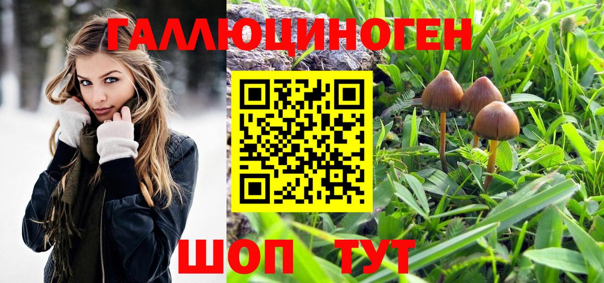 Псилоцибиновые грибы ЛСД  Вход с VPN  Галлюциногенные грибы мицелий  Когалым 